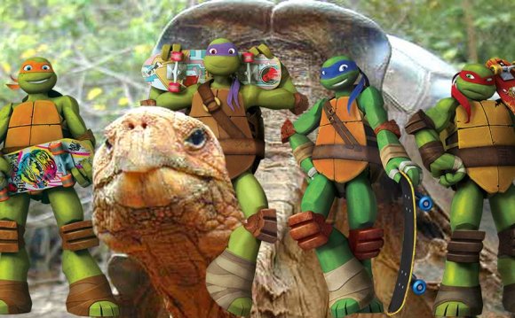 Names of the Galapagos Islands