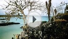 See Breathtaking Photos of the Galapagos Islands on the